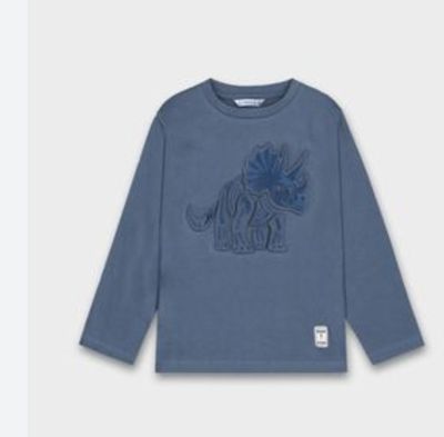 4089 L/S Dino Tee