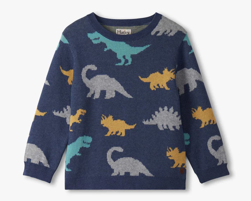 Dino party crew neck sweater