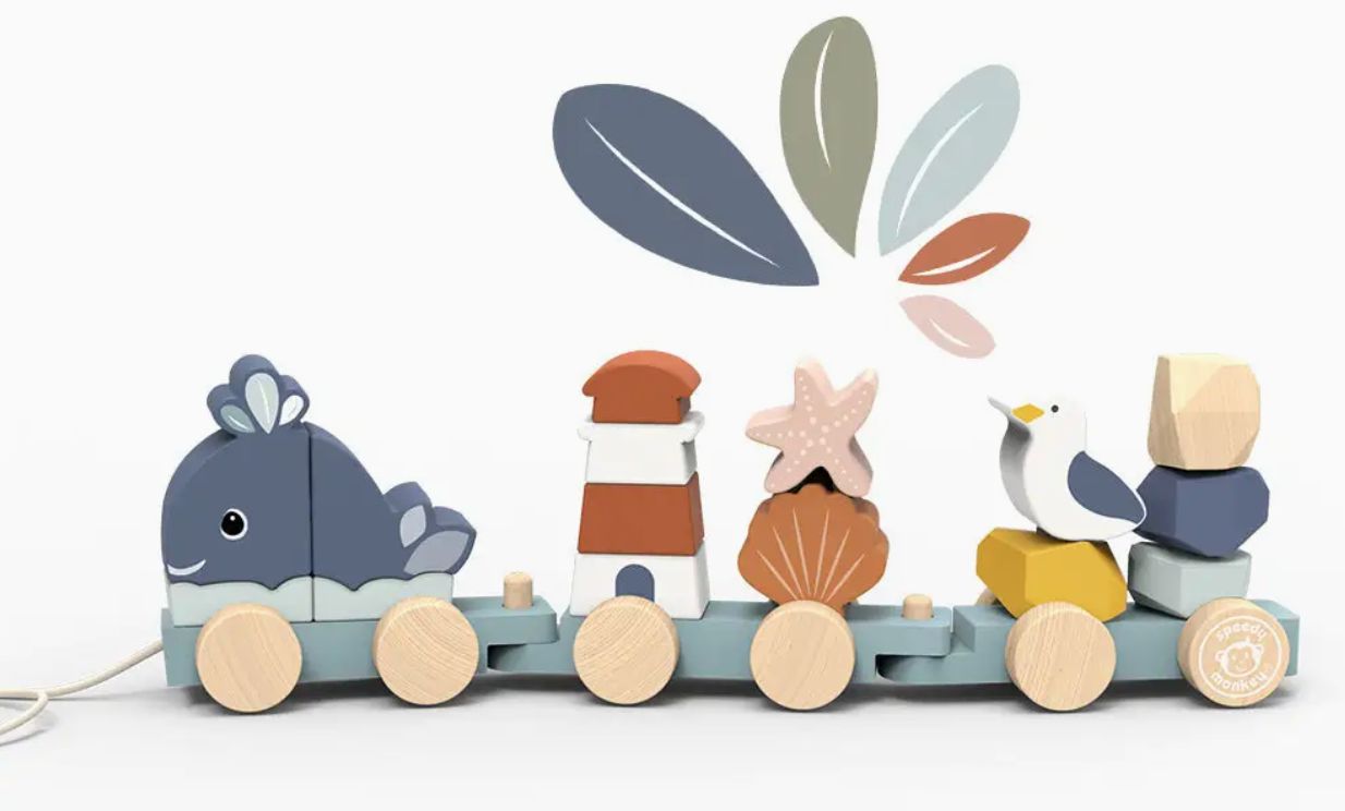 Ocean Stacking Train