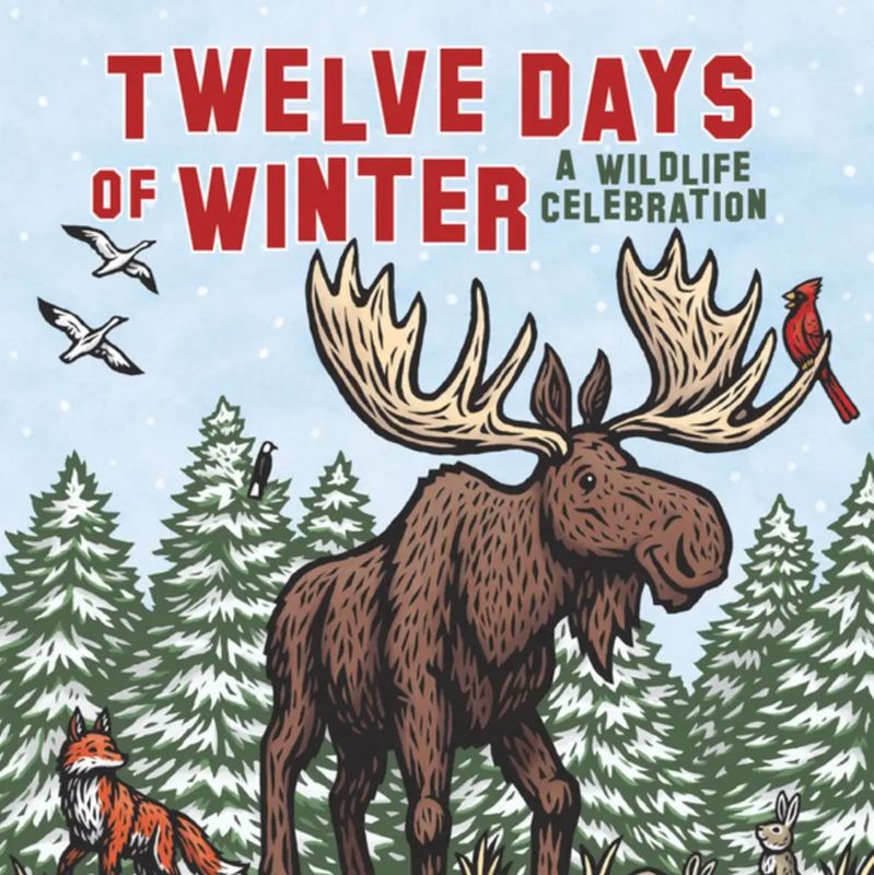 Twelve Days of Winter a Wildlife Celebration