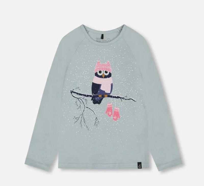 G20K70  Winter Owl L/S Raglan Top