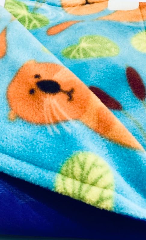 MROB otters &amp; frogs