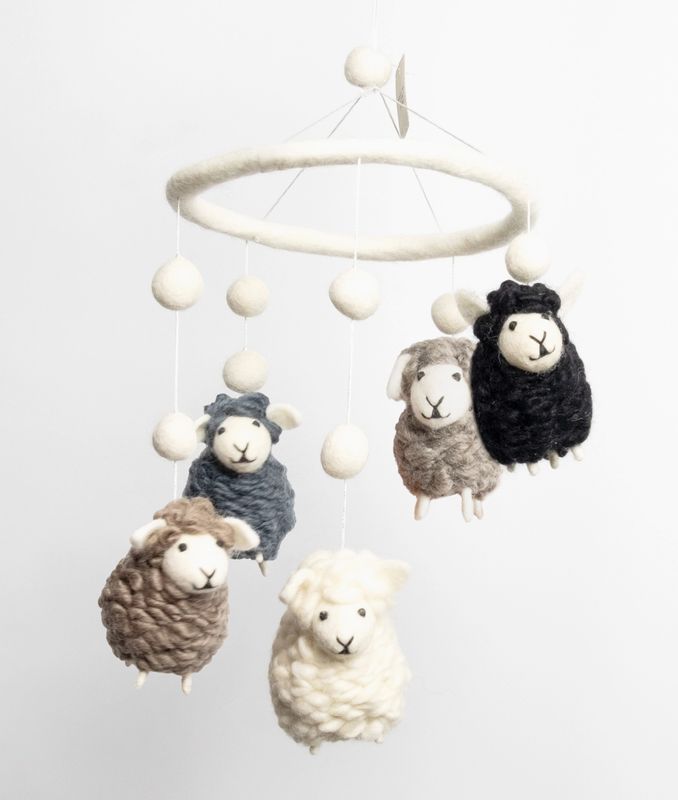 The winding road mobile sheep
