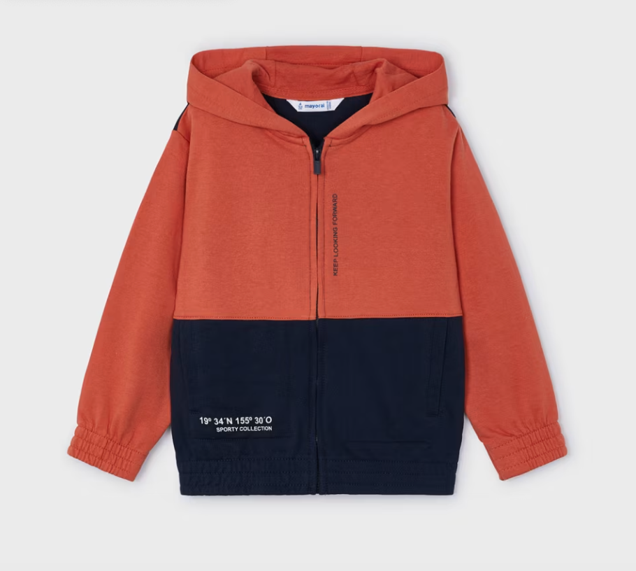 3869 Hoodie