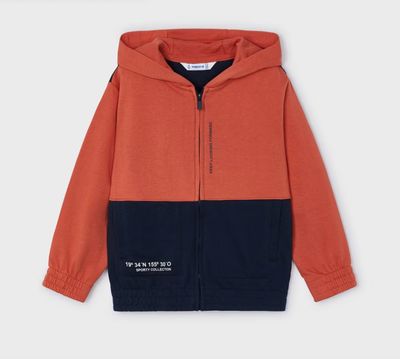 3869 Hoodie