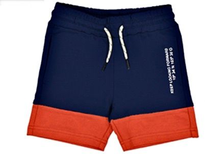 3869 shorts