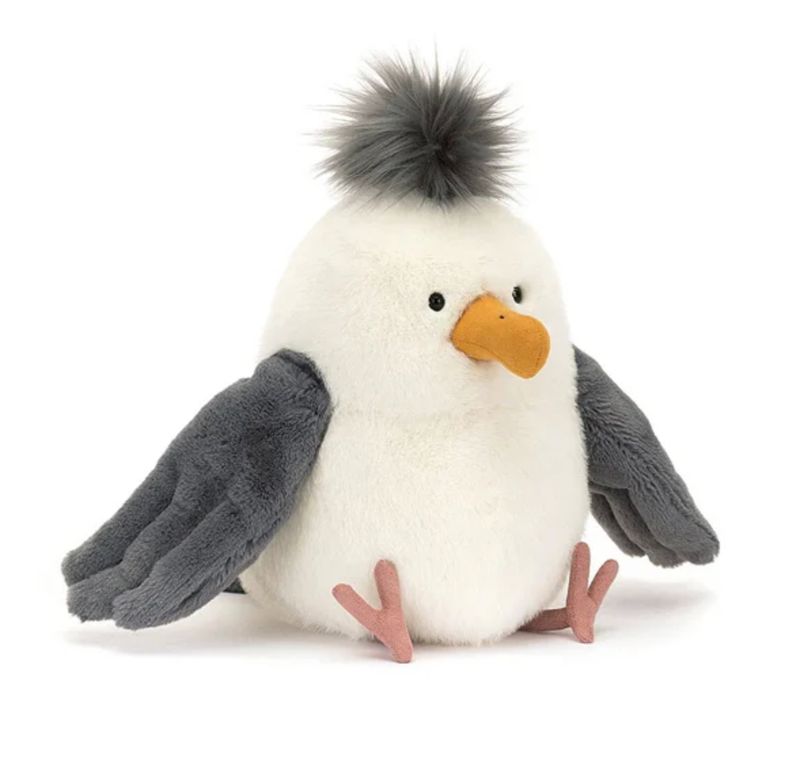 Chip Seagull