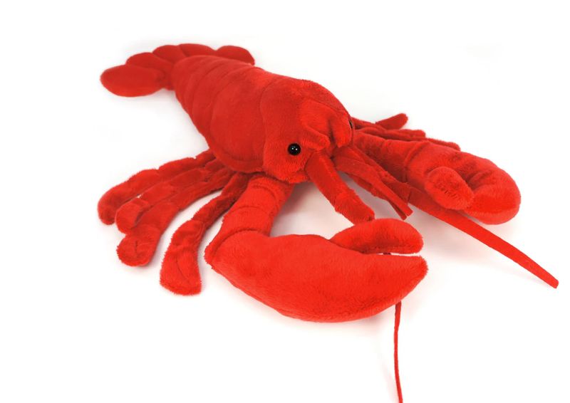 Lenora The Lobster