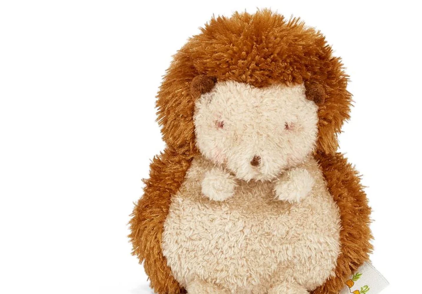 Smidgen The Hedgehog