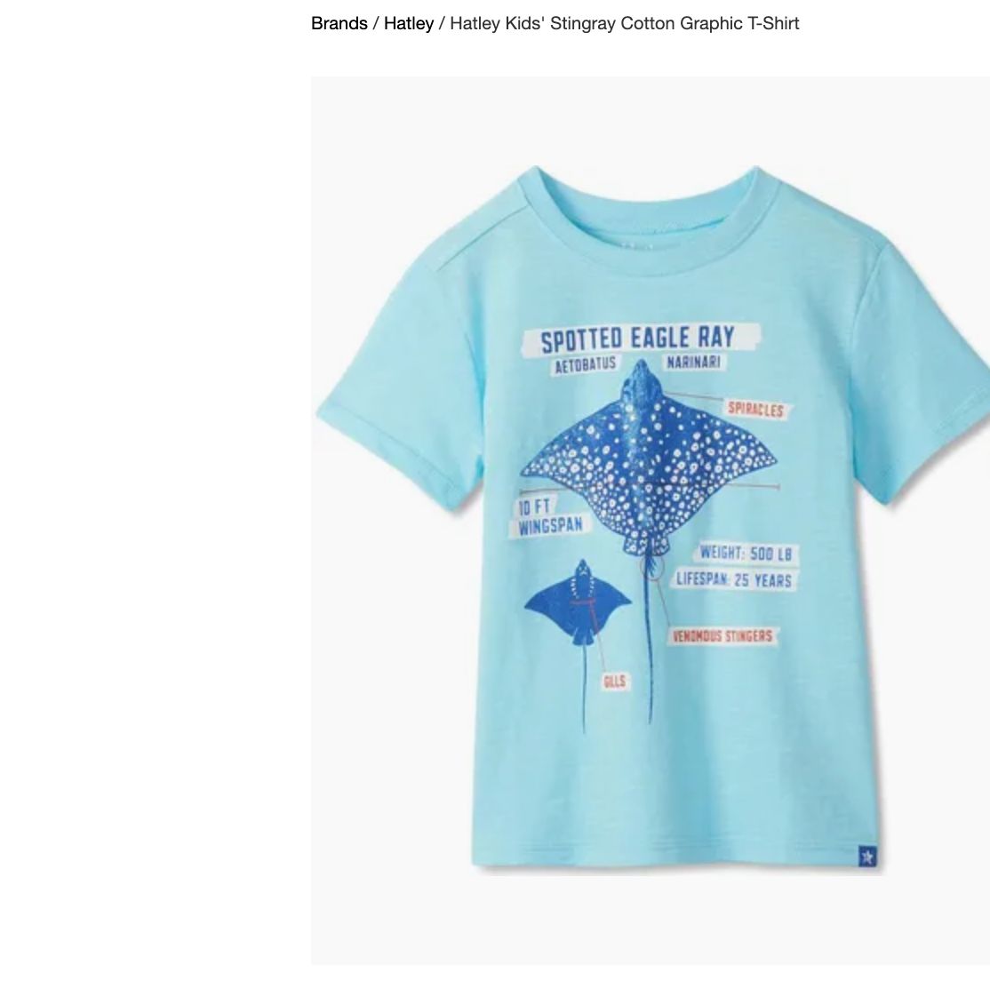 Sting Ray Graphic Tee