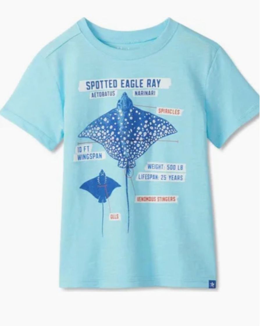 Sting Ray Graphic Tee