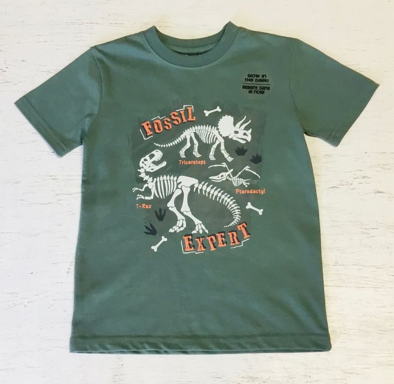 Fossil Expert Top