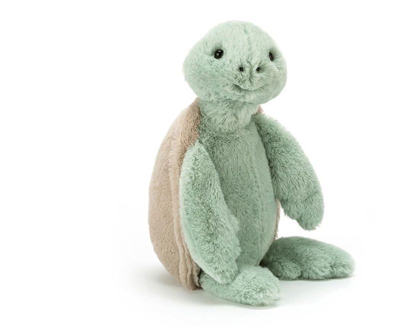 Bashful Turtle Medium