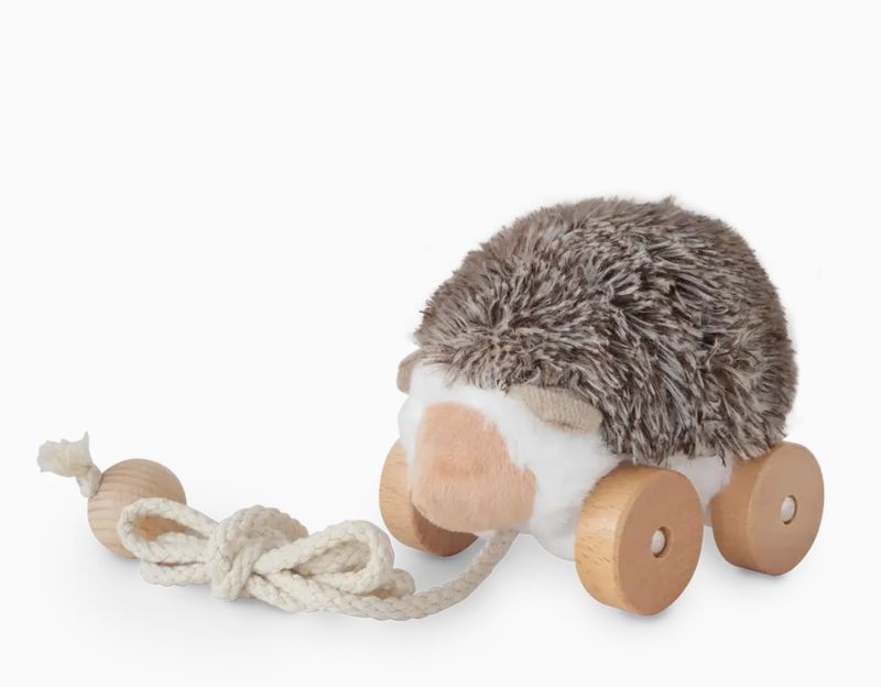 Hedgie pull along