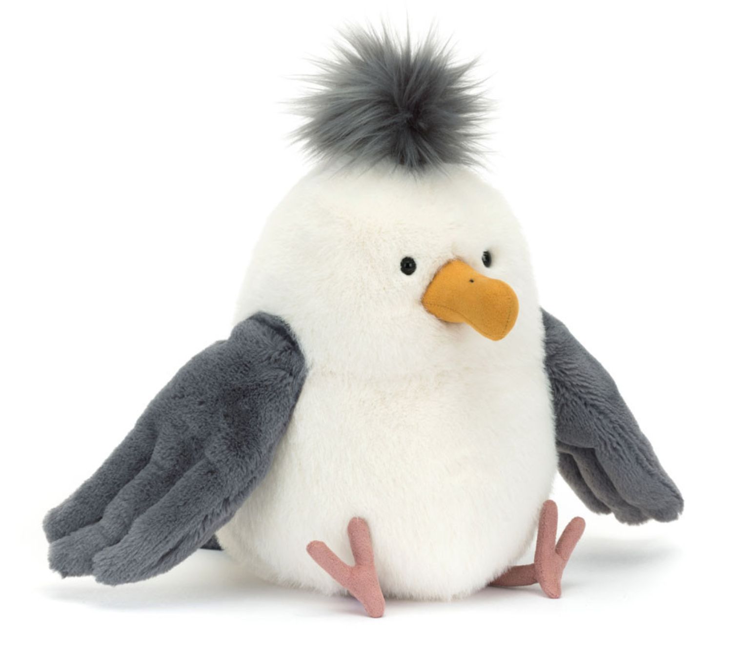 Chip Seagull