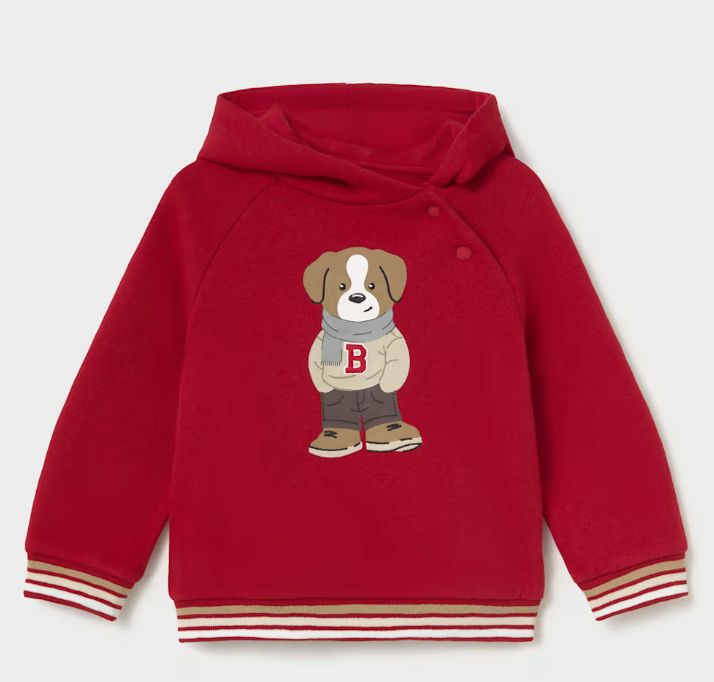 2417 hooded pullover