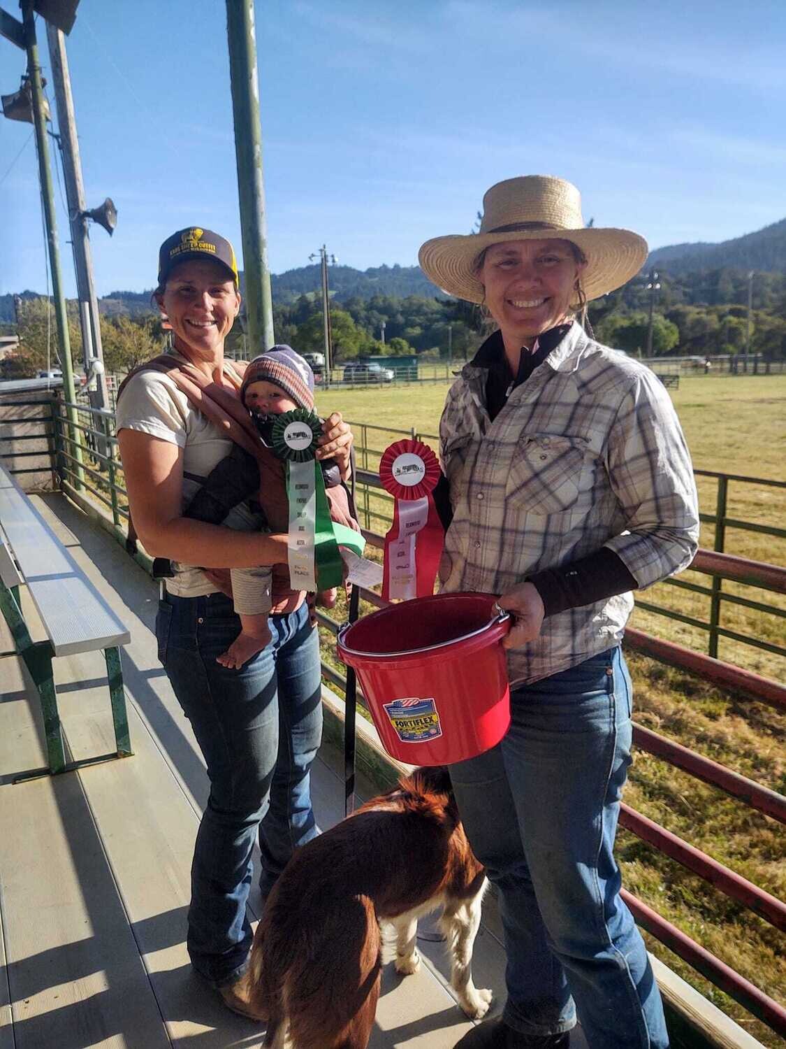 RESDA Pro-Novice Entry