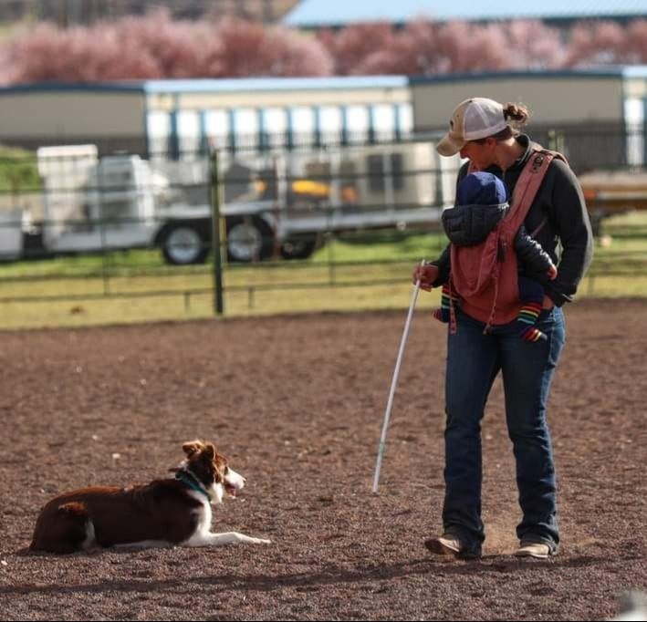 RESDA Annual Membership - Family