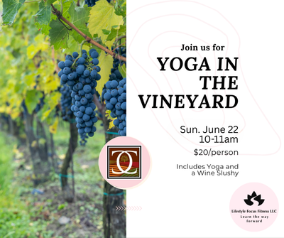 Yoga in the Vineyard-Lifestyle Focus Fitness June 22nd 10am