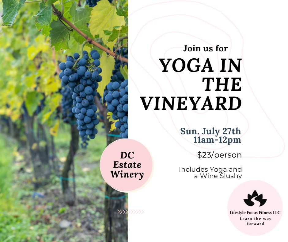 Yoga in the Vineyard-Lifestyle Focus Fitness July 27 11am
