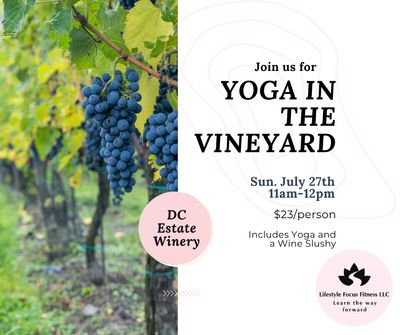 Yoga in the Vineyard-Lifestyle Focus Fitness July 27 11am