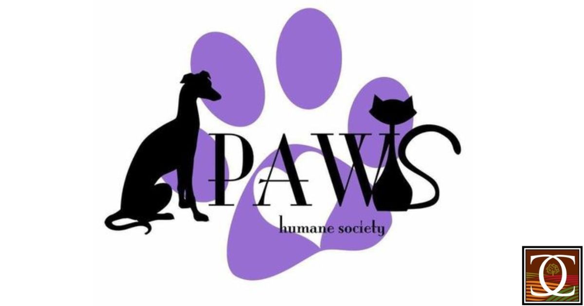 Wine-O Bingo for PAWS April 30th 6-8pm