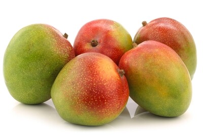 Mango kent por kg
