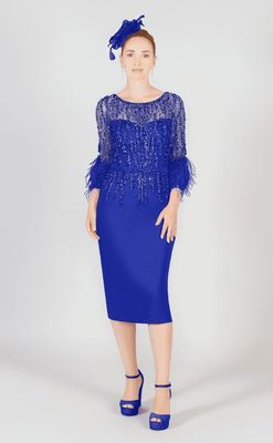 Royal Diamante Fitted Dress