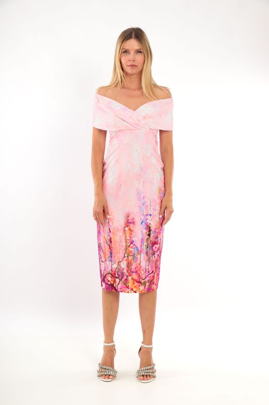 Lizabella - Pink Print - 2013