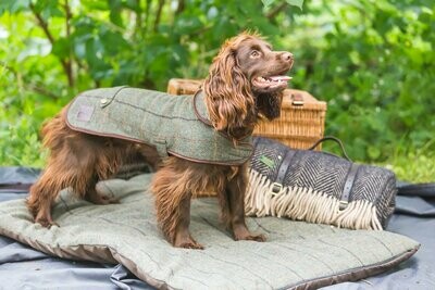 Tweedmill Dog Beds & Accessories
