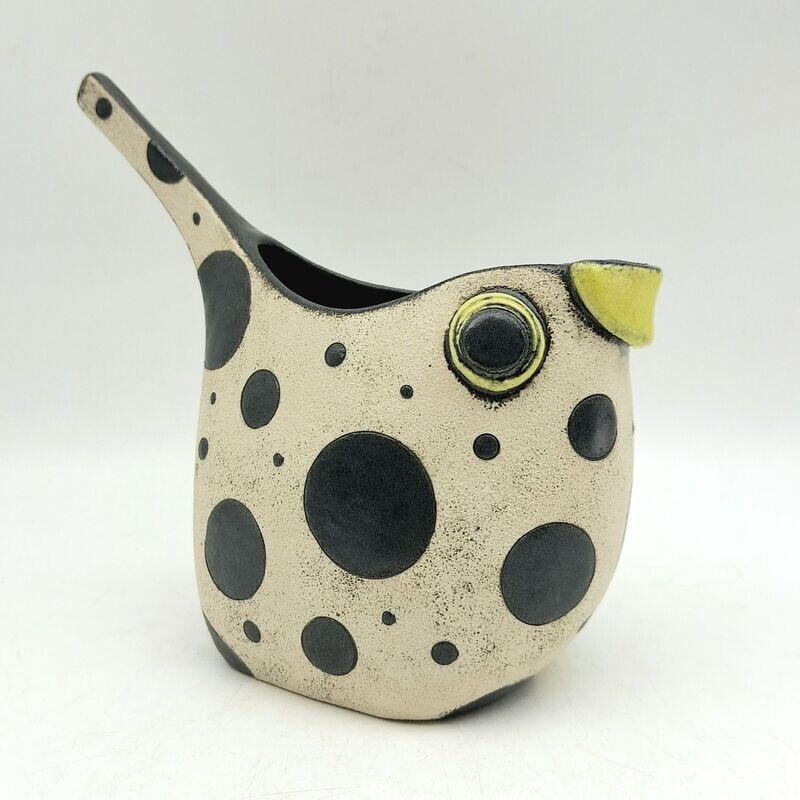 Spotty Blackbird