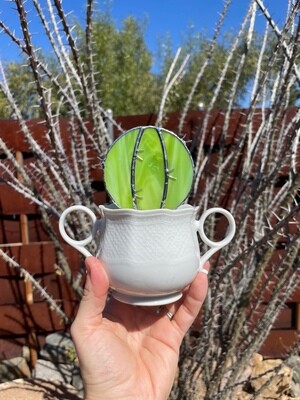 Lime Ball Cactus in Handled Pot