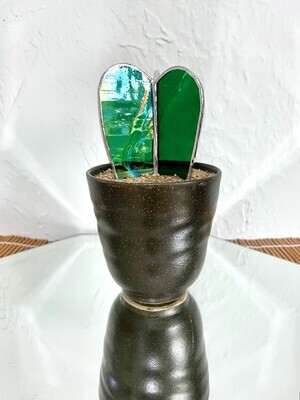 Iridescent Barrel Cactus