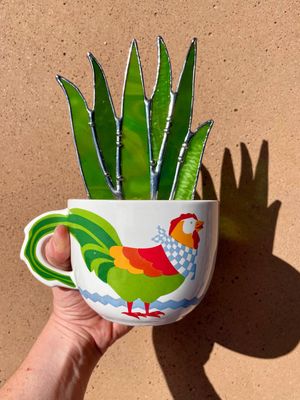 Rooster Flat Aloe
