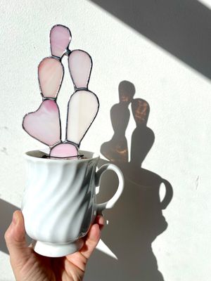 Pink Hidden Heart Prickly Pear