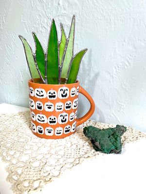 Jack-O-Lantern Flat Aloe Jack-O-Lantern Flat Aloe