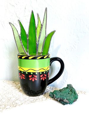 Mexican Style Flat Aloe