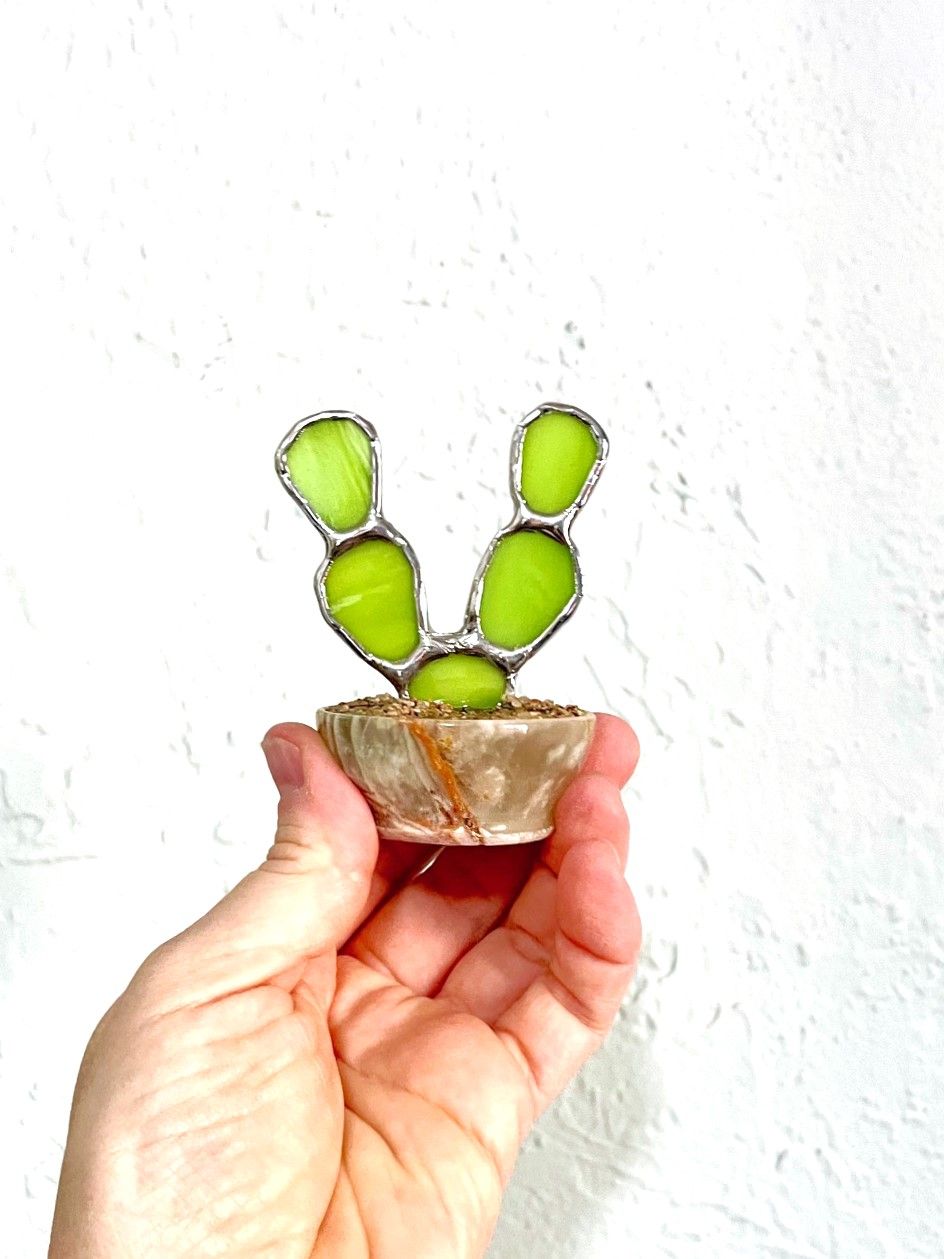 Mini Prickly Pear in Onyx