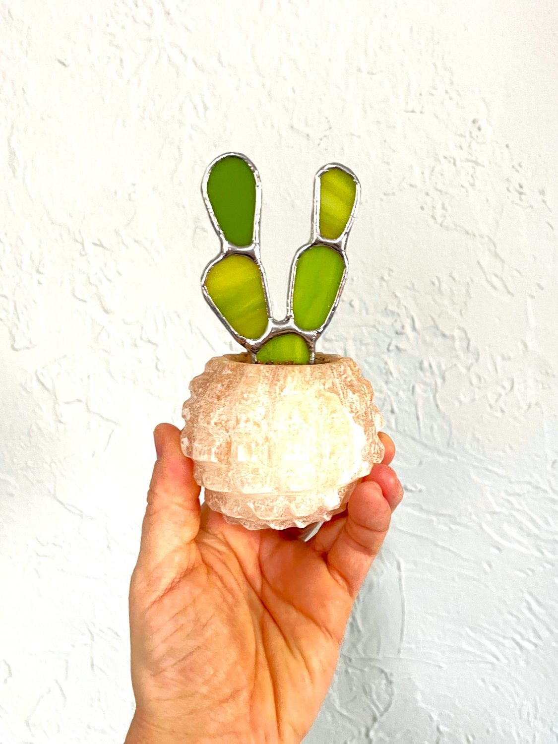 Mini Prickly Pear