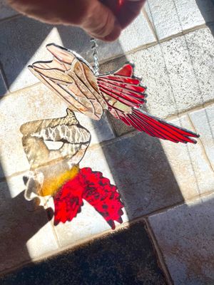 Cardinal Queen