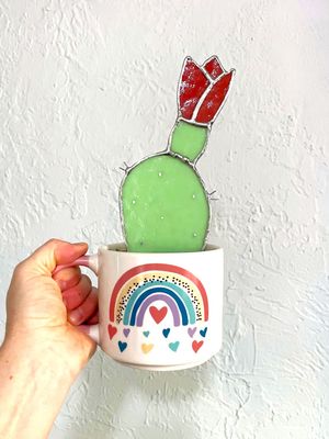 Rainbow Blooming Prickly Pear