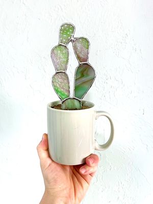 Purple / Green Prickly Pear