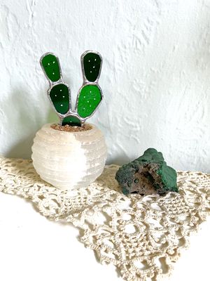 Mini Prickly Pear in Selenite