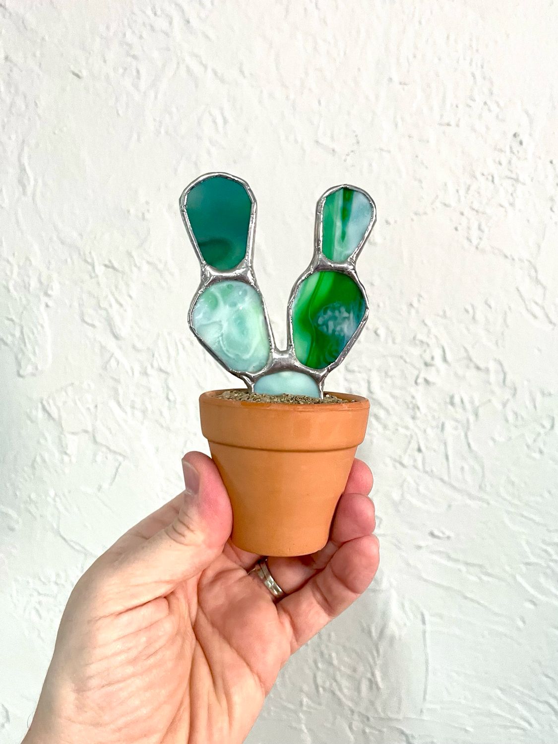 Mini Mottled Prickly Pear in Terra Cotta