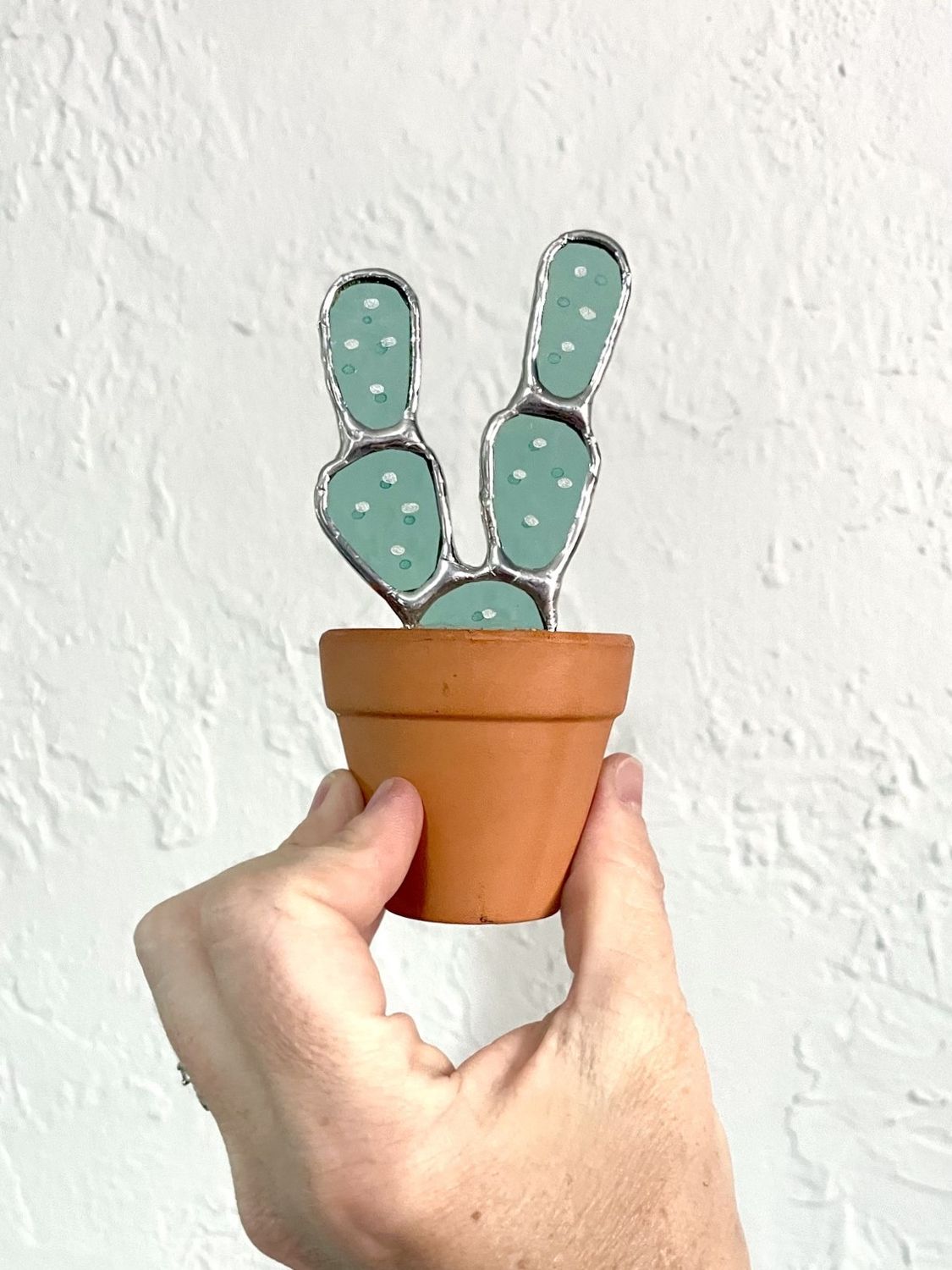 Mini Prickly Pear in Terra Cotta