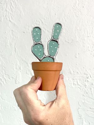 Mini Prickly Pear in Terra Cotta