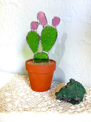 Apple Green Prickly Pear with Fruits