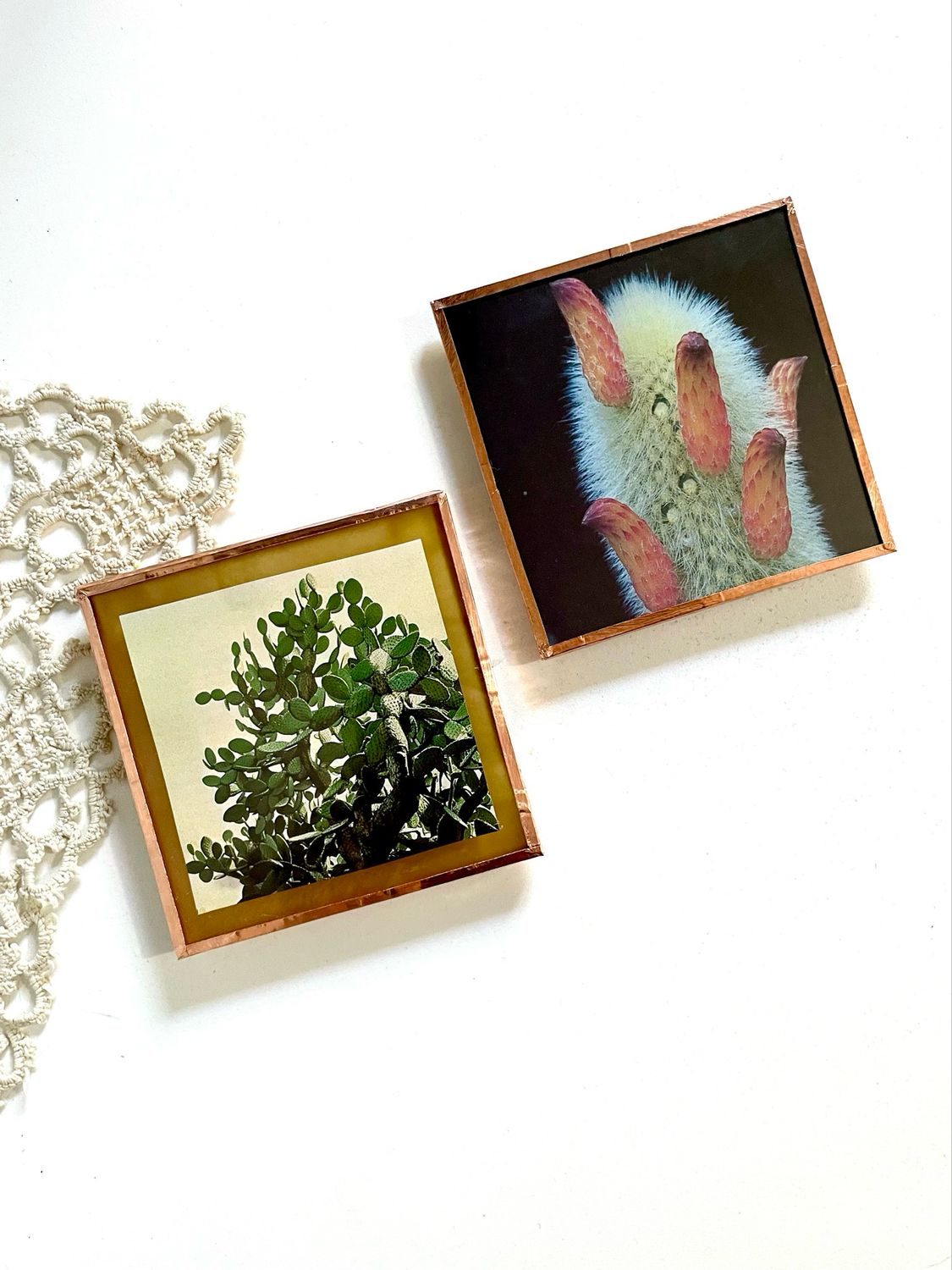 Cactus Collage Coasters - August 22