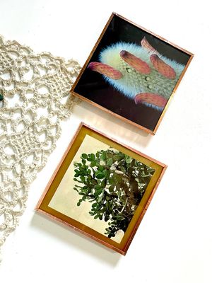 Cactus Collage Coasters - August 22