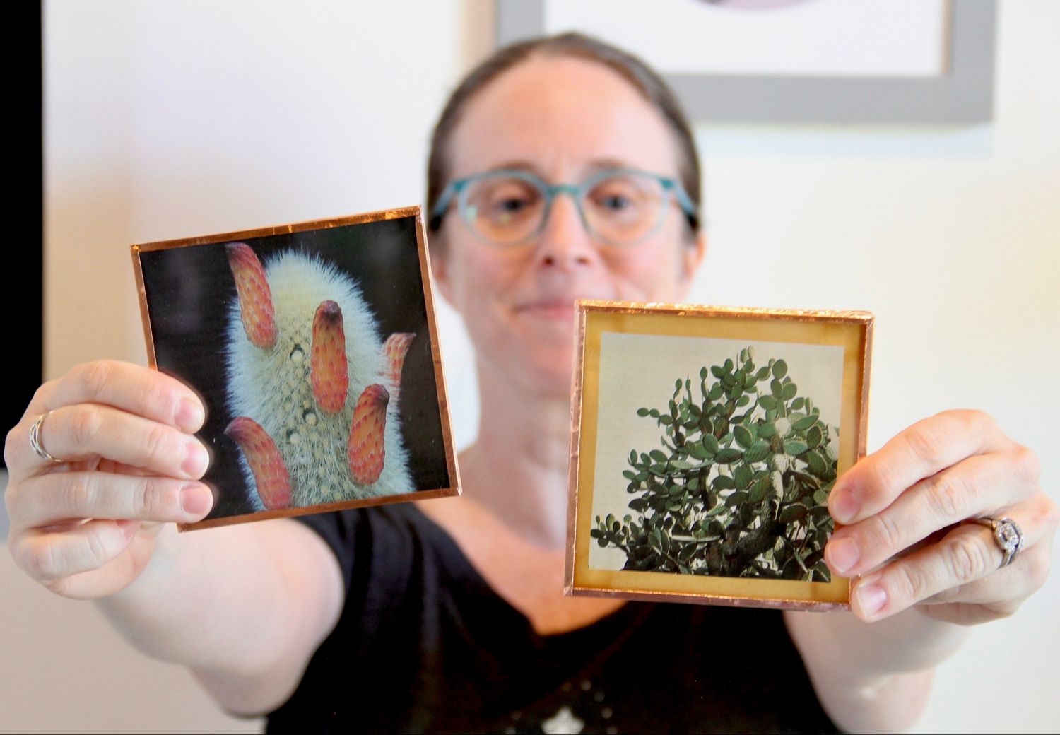 Cactus Coasters at Tucson Hop Shop - November 4